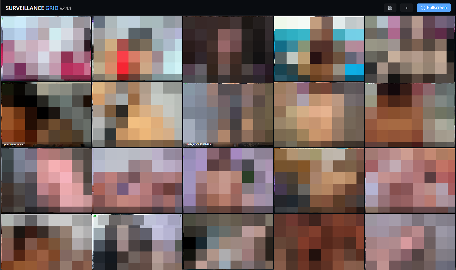 Survellaince grid Demo